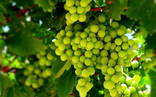 479945 (a): :1920x1200